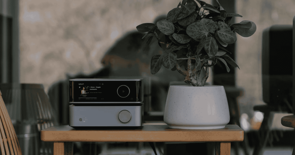WiiM Vibelink Amp